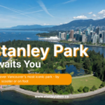 Top 10 Things to Do in Stanley Park Vancouver – A Tourist’s Complete Guide (2026)